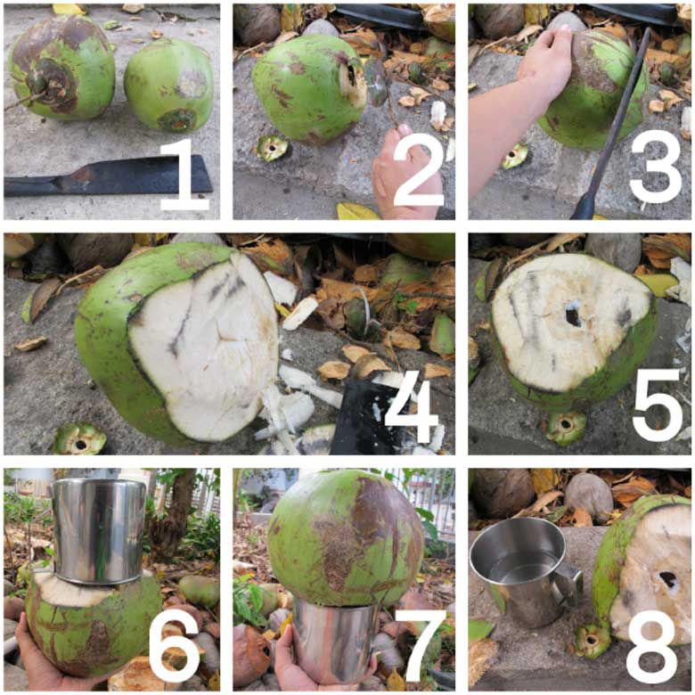 Cách làm trà sữa trân châu dừa sơ chế dừa lấy nước dừa