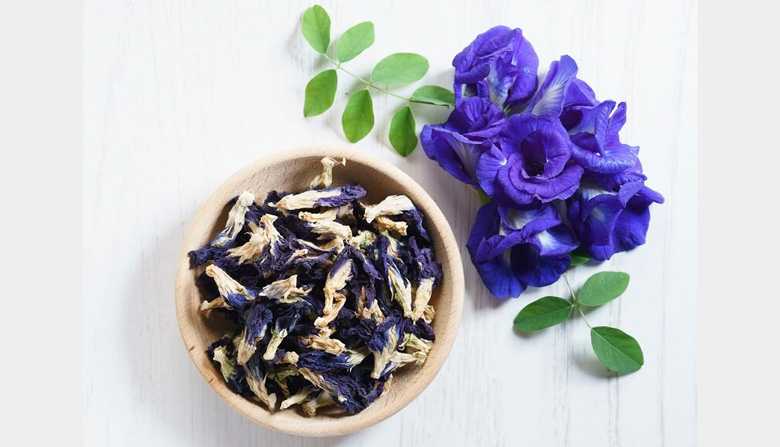 Cách làm sữa tươi hoa đậu biếc: Tác dụng của hoa đậu biếc