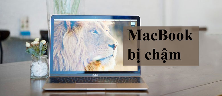 MacBook bị chậm do vấn đề khác