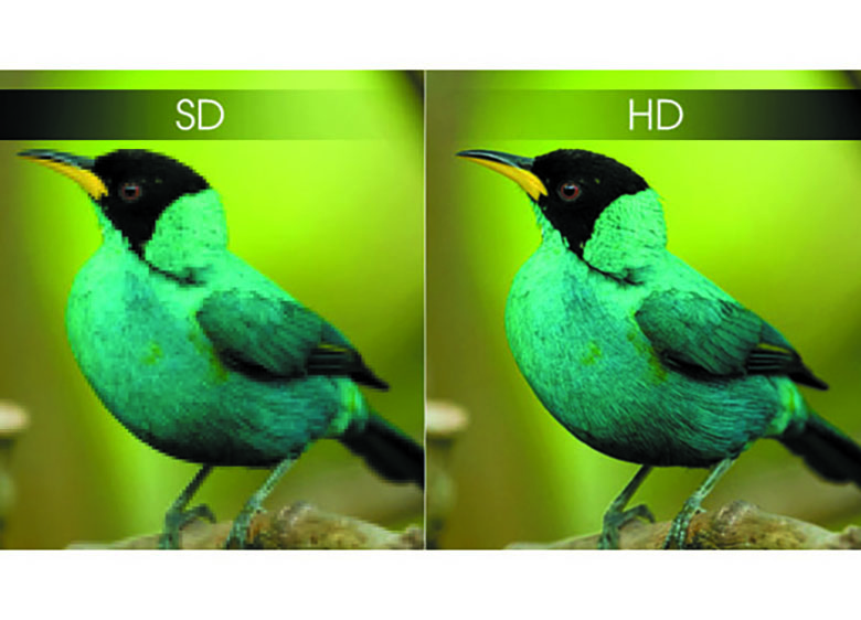 Android Tivi Sharp 32 inch 2T-C32BG1X: Độ phân giải