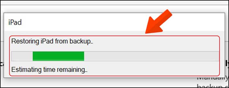 Cách lấy lại số điện thoại đã xóa trên iPhone bằng iTunes: Bước 3