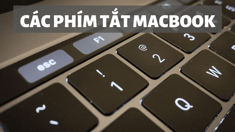 Các tổ hợp phím trên MacBook dùng trên văn bản