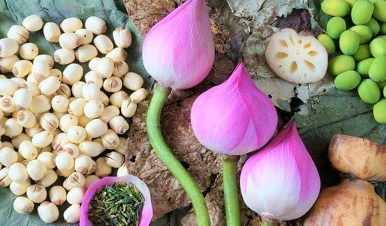 Cách làm mứt hạt sen: Tác dụng