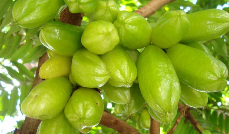 Cách làm mứt khế Tàu: Nguyên liệu