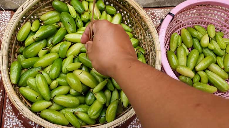 Cách làm mứt khế Tàu: Chọc khế tàu