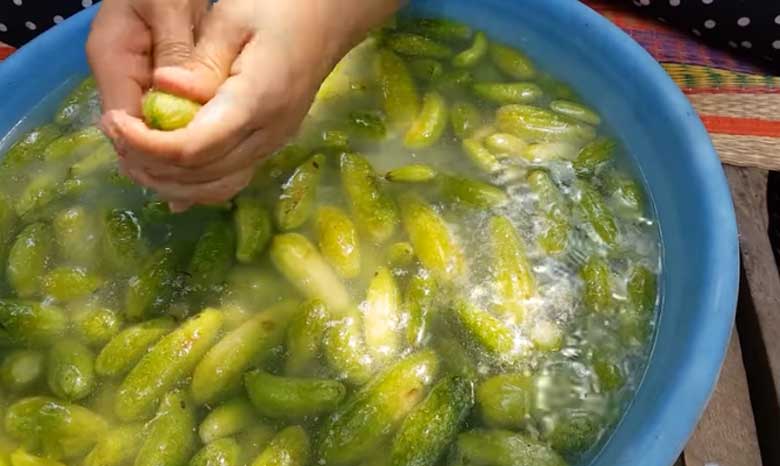 Cách làm mứt khế Tàu: Vắt khô khế Tàu