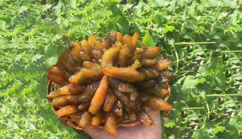 cách làm mứt khế Tàu: Thành phẩm