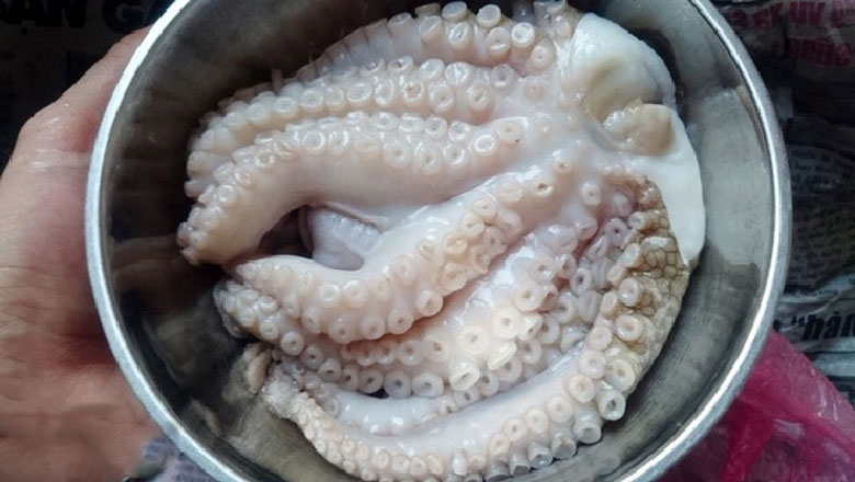 Cách làm bạch tuộc nướng sa tế đi sơ chế bạch tuộc