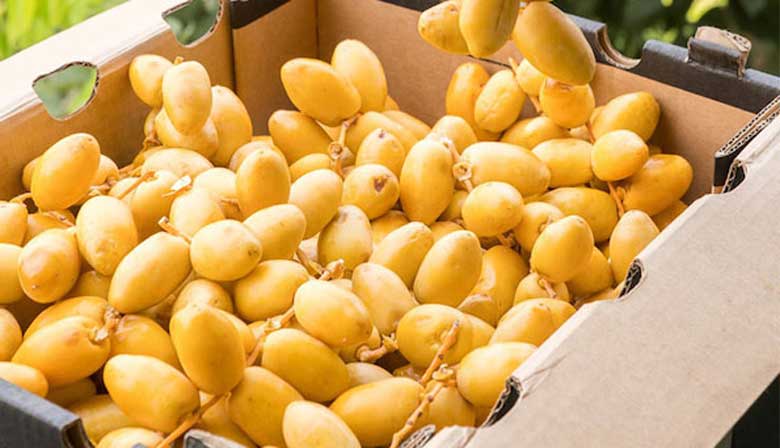 Cách làm mứt chà là: Cách chọn quả chà là