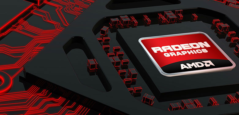 Card đồ họa - Laptop HP 245 G8 46B27PA