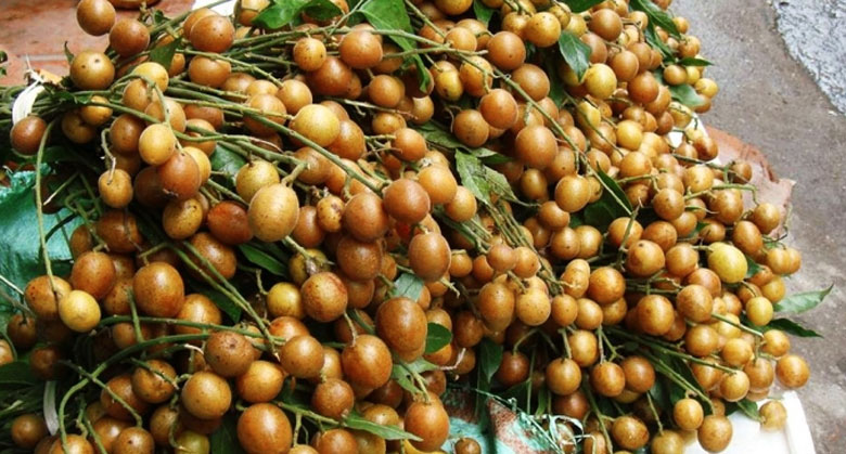 Cách làm mứt hồng bì: Nguyên liệu