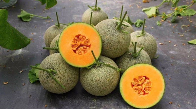 Cách làm mứt dưa lưới sấy dẻo: Lưu ý