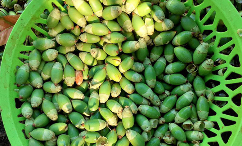 Cách làm mứt cau kiểng: Nguyên liệu