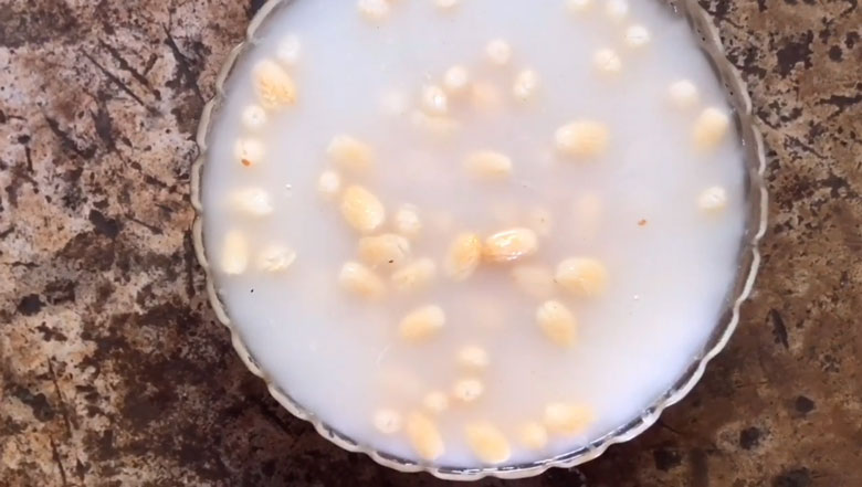 Cách làm mứt cau kiểng: Ngâm nước vo gạo