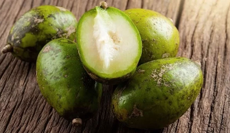 Cách làm mứt cóc: Cách chọn cóc