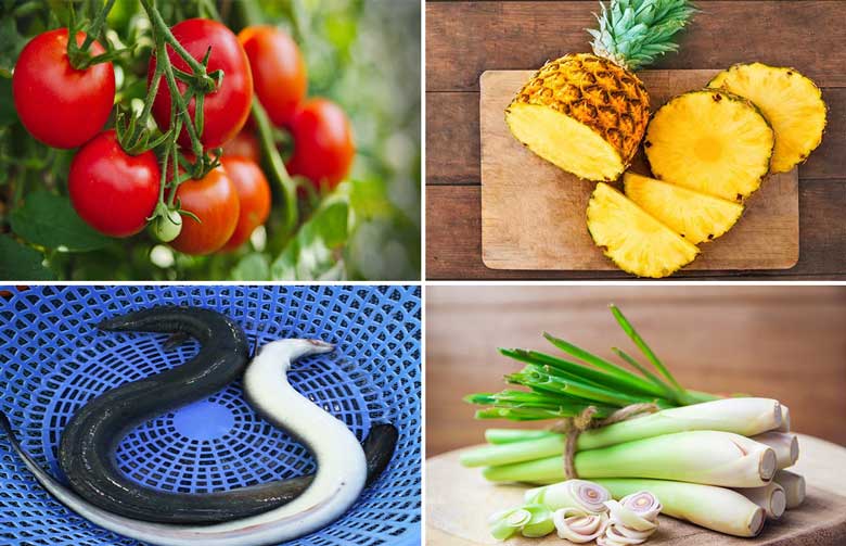 Cách nấu lẩu cá chình cùng với nguyên liệu