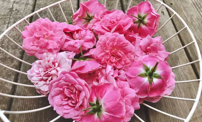 Cách làm mứt hoa hồng ướp thấm mật hương: Nguyên liệu