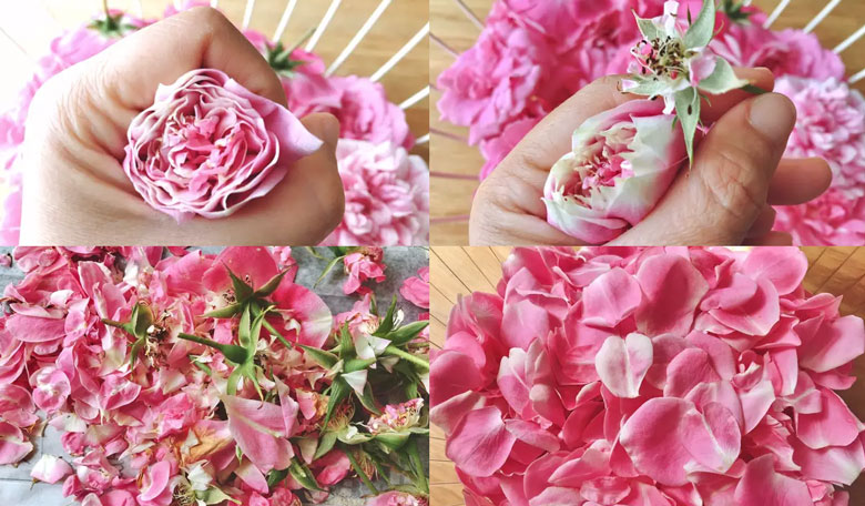 Cách làm mứt hoa hồng ướp thấm mật hương: Nhặt cánh hoa bị sâu, bỏ cuống