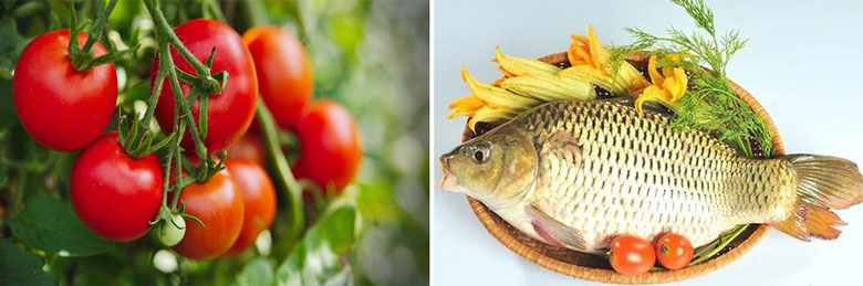 Cách làm lẩu cá chép om dưa cần lựa chọn nguyên liệu tươi ngon