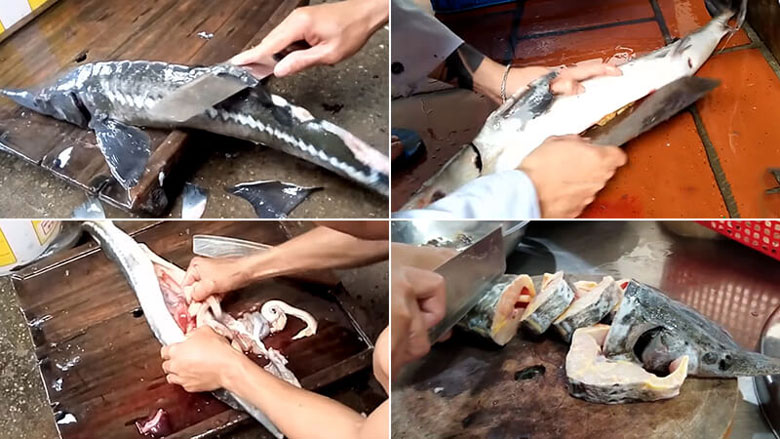 Cách làm lẩu cá tầm chế biến cá tầm