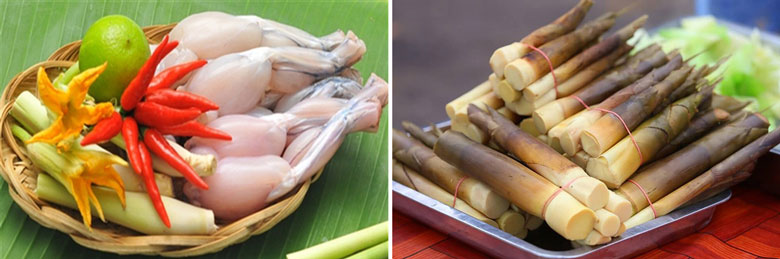 Cách làm nước lẩu ếch măng cay chọn lựa nguyên liệu