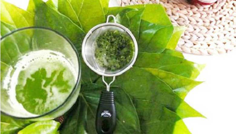 Cách giữ quần áo bền màu bằng lá trầu không