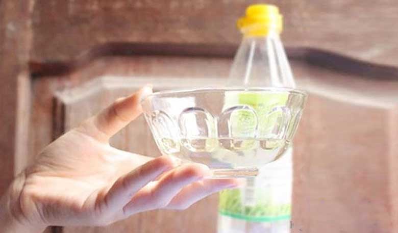 Cách đuổi kiến ra khỏi nhà bằng giấm