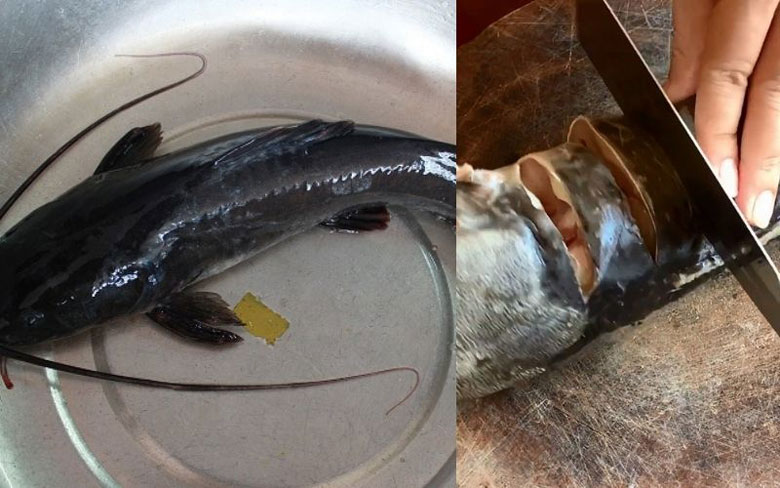 Cách làm món cá trê lai nướng muối ớt sơ chế nguyên liệu