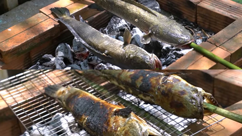 Cách làm cá lóc nướng trui thực hiện nướng cá
