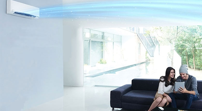 Thông tin về cánh vẫy điều hoà