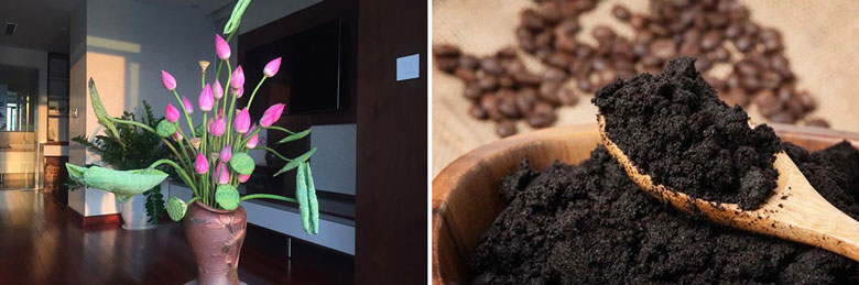 Cách khử mùi hôi trong phòng máy lạnh dùng hoa tươi với bã cà phê