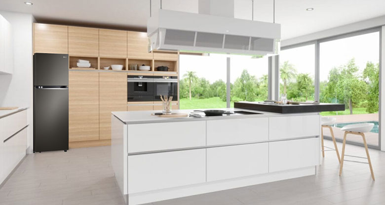 Tủ lạnh LG 2 cánh Inverter 315 Lít GN-M312BL