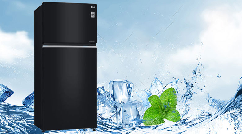 Tủ lạnh LG 2 cánh Inverter 506 lít GN-L702GB