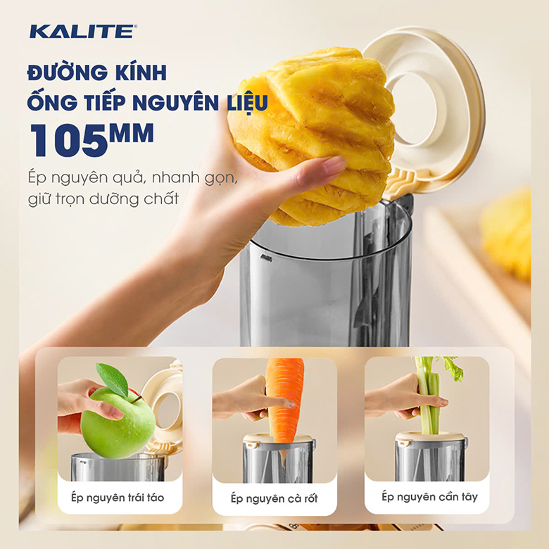 Ống tiếp nguyên liệu siêu rộng - Máy ép chậm Kalite KSJ569