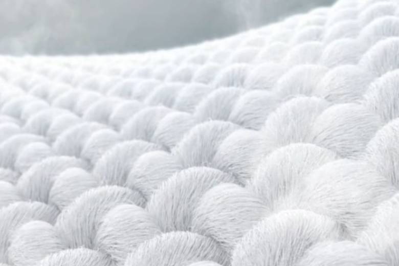  Máy giặt LG Inverter 10kg FX1410N5W lồng ngang - Giặt hơi nước LG Steam™