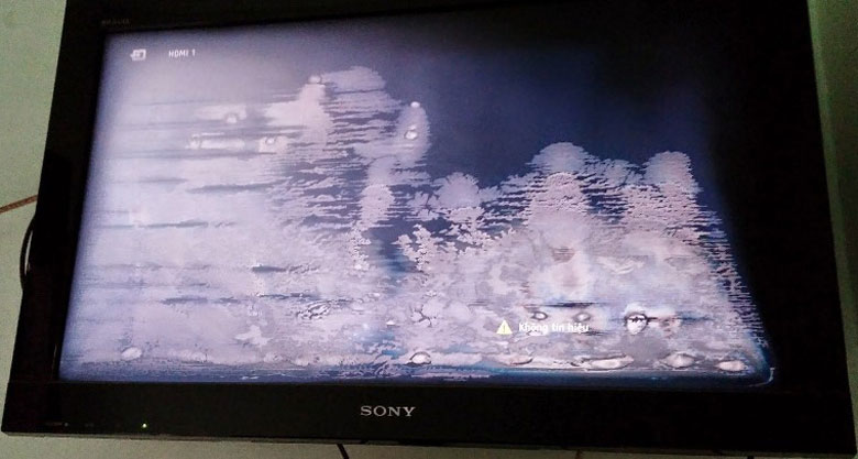 Tivi bị lỗi màn hình do bị rộp mốc