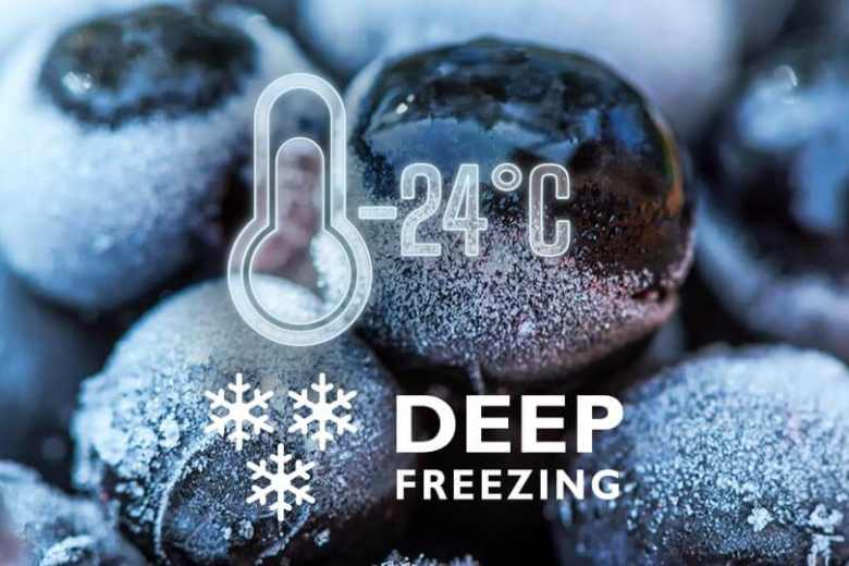 Tủ lạnh Multi Door Sharp Inverter 572 lít SJ-FXP650VG-SL -  Deep Freezing thông minh