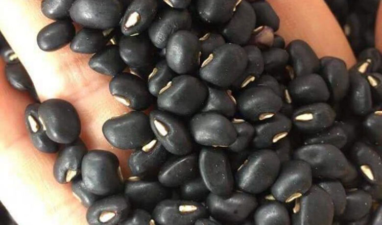 Công dụng tủ lạnh ninh đỗ đen được nhừ hơn