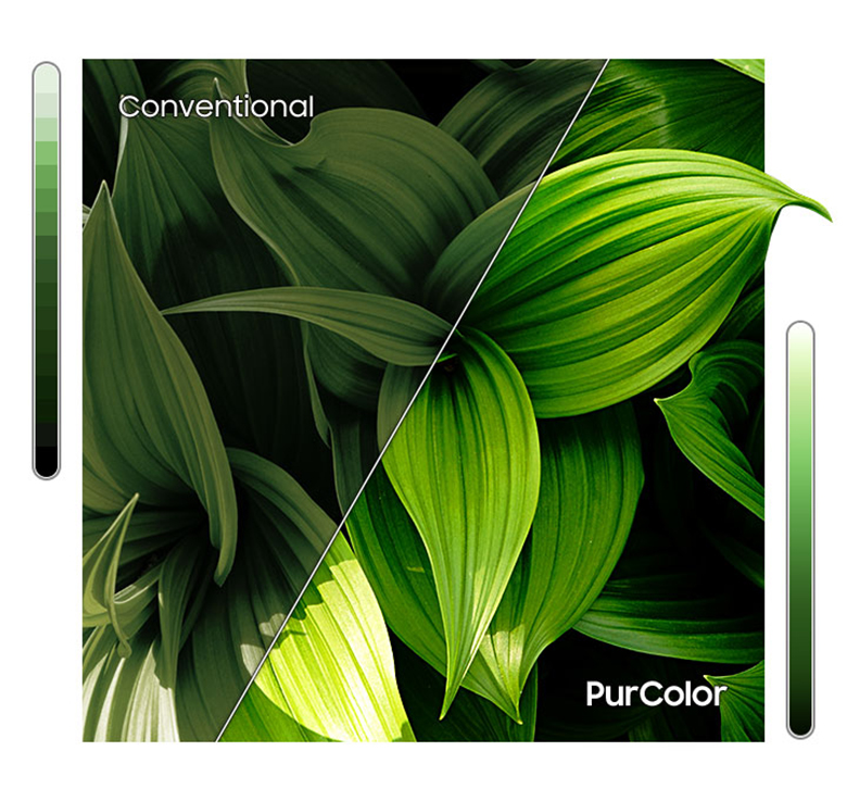 Màu sắc chân thực - Smart Tivi Samsung 32 inch UA32T4202 