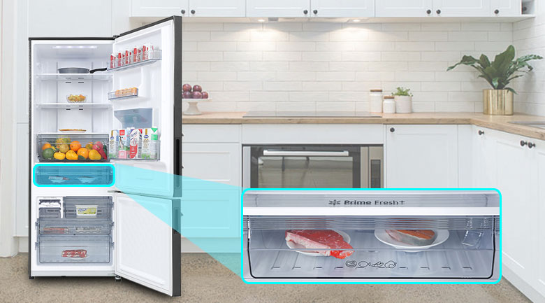 Ngăn đông mềm là gì? Thông tin bạn nên biết