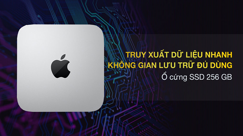 Ổ cứng- Máy tính để bàn Apple Mac Mini M1 256GB Z12N000B8