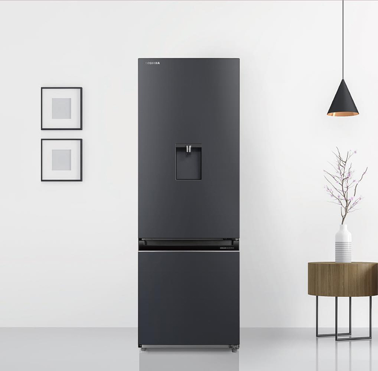 Tủ lạnh 10 triệu 3